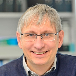 head picture